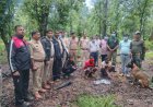 मृत भालू के नाखून काटकर ले जाने वाले दो आरोपी गिरफ्तार