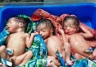स्वास्थ्य विभाग की तत्परता से पहाड़ी कोरवा महिला ने तीन स्वस्थ नवजात शिशुओं को दिया जन्म