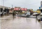 अंबिकापुर के सड़क की वायरल वीडियो का  मुख्यमंत्री ने लिया संज्ञान
