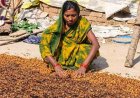 फोटो कॉपी, मशरूम और महुआ व्यवसाय ने बदली बबली की जिंदगी