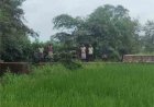 सेवा की कहानी : स्टॉपडेम से खुशहाल हुए आदिवासी परिवार