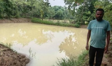 आजीविका डबरी बनी मनमोहन की खुशहाली का आधार