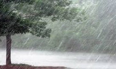जिले में 893.5 मि.मी.औसत वर्षा दर्ज