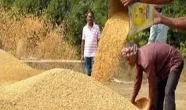 एग्रीस्टेक पंजीयन बिना नही बिकेगा धान