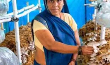 आत्मनिर्भरता की नई मिसाल- खेतों से मशरूम उत्पादन तक मिथिला दीदी ने लिखी सफलता की नई कहानी