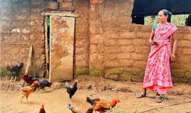 बिहान योजना ने दिया आजीविका का सहारा