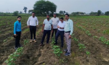 कृषक उन्नति योजना से धान के बदले कपास की खेती को मिला प्रोत्साहन