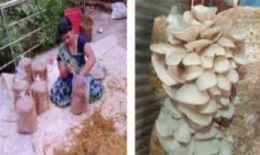 अंजली ने मशरूम की खेती से बनाई नई पहचान, बनीं प्रगतिशील महिला किसान