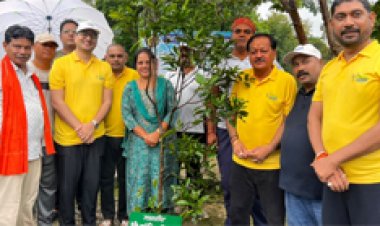 3500 से अधिक पौधों का सुरक्षित स्थानो पर रोपण
