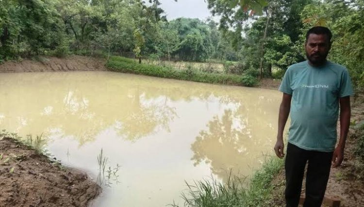 आजीविका डबरी बनी मनमोहन की खुशहाली का आधार