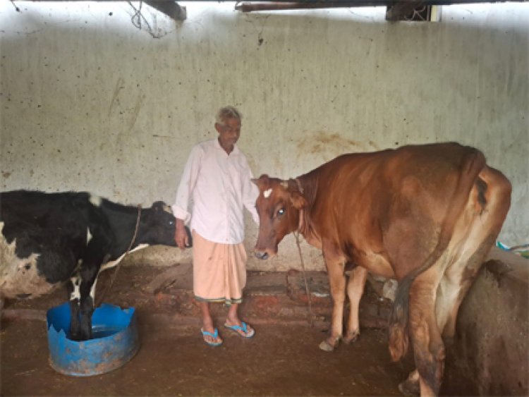 पीएम किसान सम्मान निधि की बचत से खरीदी पहली गाय
