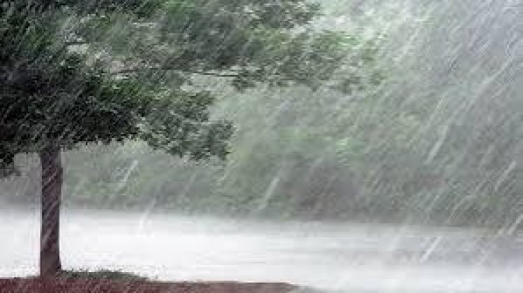जिले में 893.5 मि.मी.औसत वर्षा दर्ज