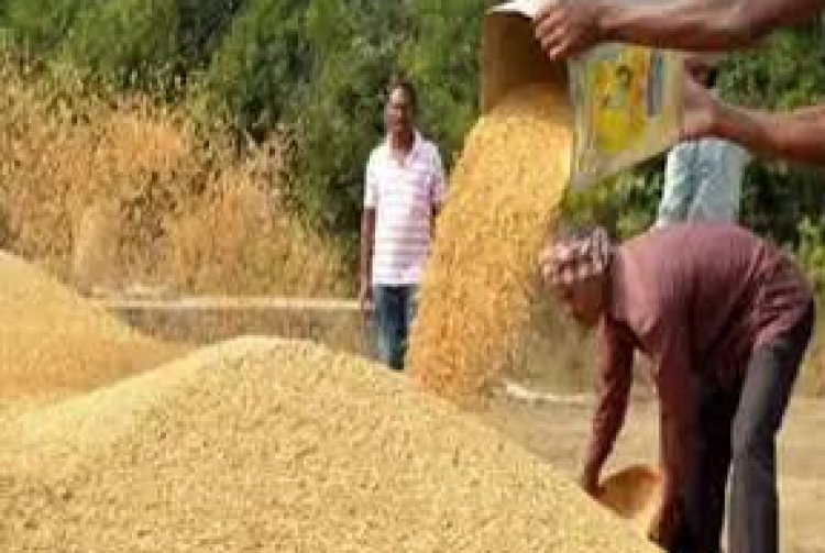 एग्रीस्टेक पंजीयन बिना नही बिकेगा धान