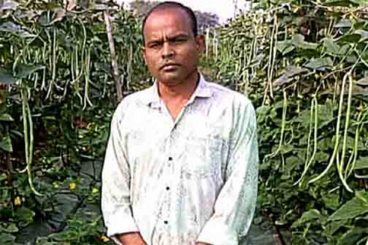 फसल परिवर्तन से बढ़ा उत्पादन और मुनाफा