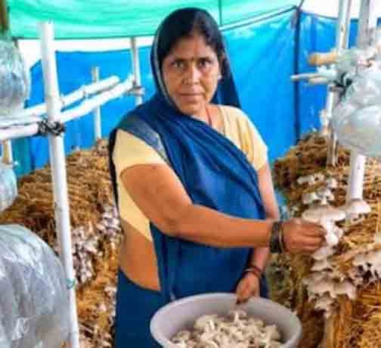 आत्मनिर्भरता की नई मिसाल- खेतों से मशरूम उत्पादन तक मिथिला दीदी ने लिखी सफलता की नई कहानी