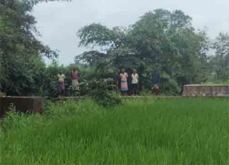 सेवा की कहानी : स्टॉपडेम से खुशहाल हुए आदिवासी परिवार