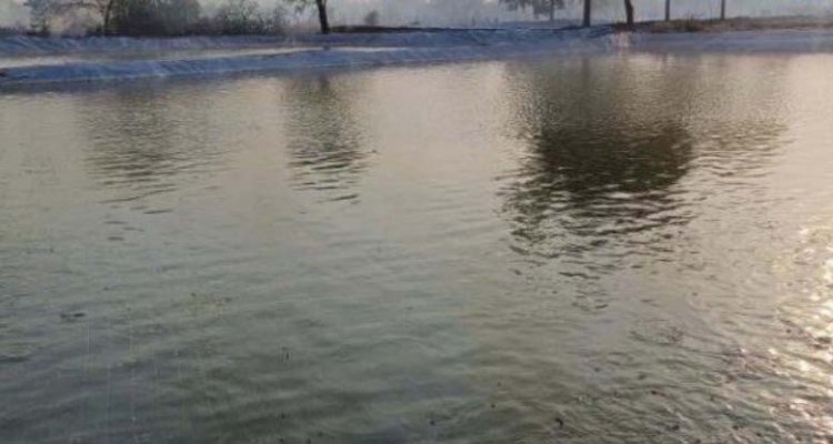 प्रधानमंत्री मत्स्य संपदा योजना से मत्स्य पालन को मिला रहा बढ़ावा