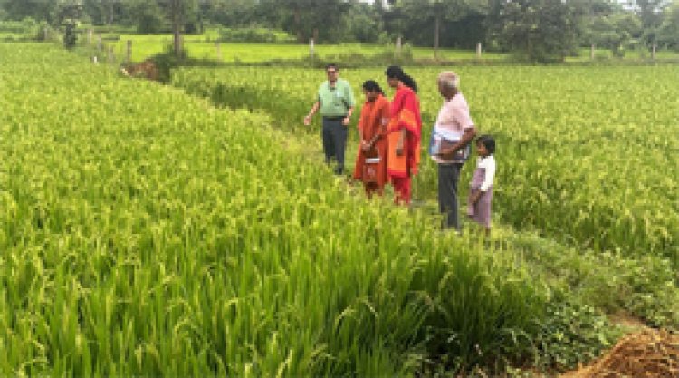 उप संचालक ने किया डिजिटल क्रॉप सर्वे का मौके पर सत्यापन
