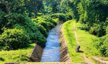 नहरों के अंतिम छोर तक पहुंचा पानी, किसानों की खेती को मिली मजबूती