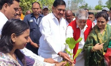 मंत्री दयालदास बघेल ने किया पौधरोपण, दिया पर्यावरण संरक्षण का संदेश - ’पर्यावरण के बिना जीवन संभव नहीं’