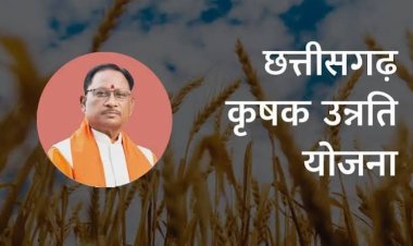 धान के बदले अन्य फसलें लगाने पर मिलेगी 15 हजार रुपए तक की सहायता राशि, 31 अक्टूबर तक करें आवेदन