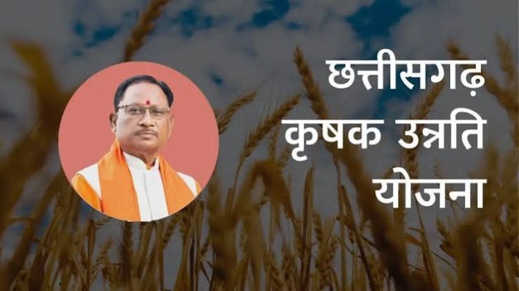 धान के बदले अन्य फसलें लगाने पर मिलेगी 15 हजार रुपए तक की सहायता राशि, 31 अक्टूबर तक करें आवेदन